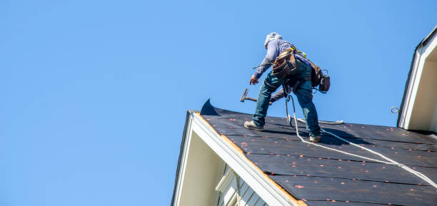 Best Roof Maintenance Services  in Biscayne Park, FL